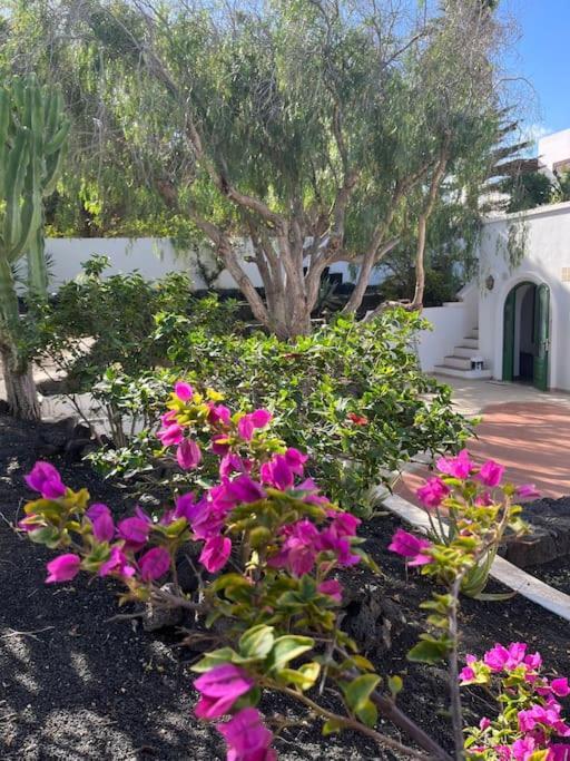 Ferienwohnung Casa Chili Costa Teguise Exterior foto